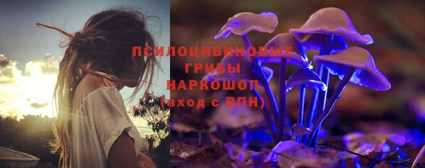 сатива Ростов