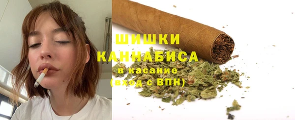 дживик Гусиноозёрск
