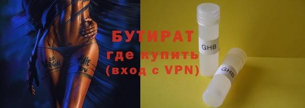 сатива Ростов