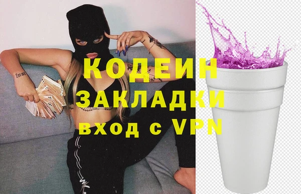 шишки Заводоуковск