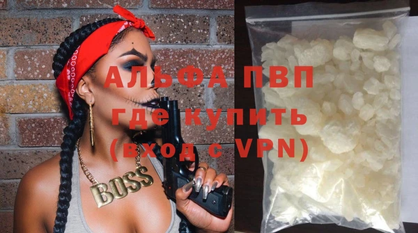 индика Аша