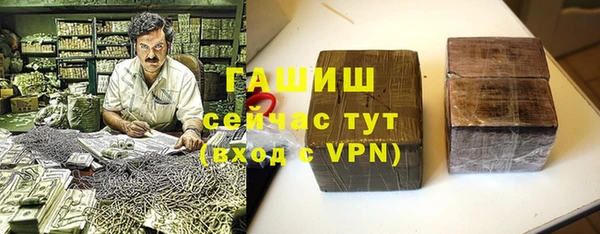 прущие грибы Елабуга