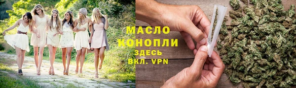 мет Дмитров