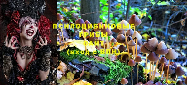 PSILOCYBIN Заволжье