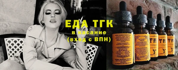 индика Аша