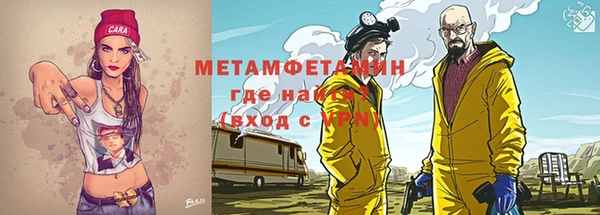 сатива Ростов