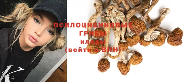 метадон Россошь