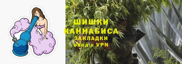 сатива Ростов