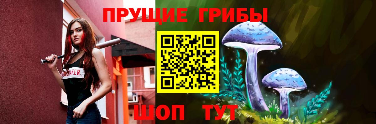 Дятьково  Галлюциногенные грибы Psilocybine cubensis  купить наркотик  Вход с VPN 